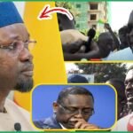 (Vidéo) Marche pour les détenus: réactions musclées de Dame Mbodj, Maimouna Bousso & Malick Gackou « SONKO Louko Dal… »