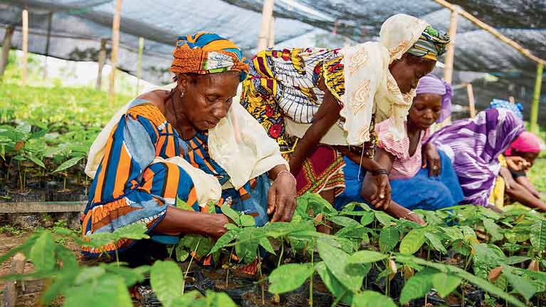 Journée internationale de la femme : L'appel pressant d'Adji Diouck Mbaye à Kaolack pour la Femme Rurale