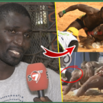 (Vidéo) Victoire de Modou Lo sur Ama Baldé: révélations mystiques de Max Mbargane « Liy Dane Mbeur Dou Nieuw, Boy Niang… »