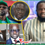 (Vidéo) Chamboulement CENA: Dieuwrigne Ndiassé interpelle Macky « Buur Guédé Falétoul Loi Falétoul Dara… »