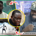 (Vidéo) « Report, M@nifs.. Li Macky Def Mo Geuna Graw Li Yaya Jammeh Def »: réaction musclée de Tahirou Sarr..