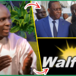 (Vidéo) Signal de Walf rétabli: Cheikh Ousmane Touré charge Me Moussa Bocar thiam « c’est indigne d’une administration