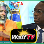 (Vidéo) Signal de Walf rétabli: Cheikh Ousmane Touré charge Me Moussa Bocar thiam « c’est indigne d’une administration