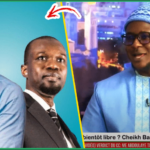 (Vidéo) Libération des détenus: Cheikh Bara Ndiaye fait des révélations « Li Yeup Liko Waral Moy SONKO Dafa… Macky… »